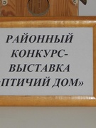 11 марта.Суббота.Районный конкурс "Птичий дом"