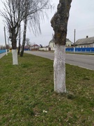 Республиканский субботник