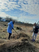 Принимаем участие в областном  субботнике