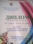 Участие команды "БРСМ-15" от нашей школы в спартакиаде для учащейся молодежи на кубок БРСМ.