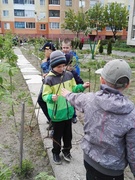 Рябиновая аллея в честь Года малой родины