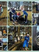 Областной субботник