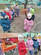 Кормление птиц