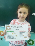 Чем можно кормить птиц весной? ППД в рамках проекта "Зеленая школа"