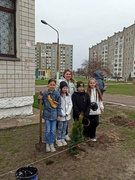 Акция " Дерево моего класса"