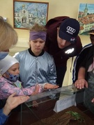 Соседи по планете