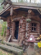 Экскурсия в Чирковичский лесхоз