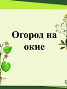 Огород на подоконнике