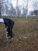 Акция по благоустройству населенного пункта "Посади дерево"