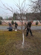 Субботник