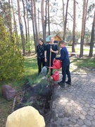 Акция «Украсим школьный двор цветами»