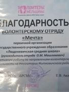 Участие в торжественном мероприятии, приуроченном Международному дню добровольцев