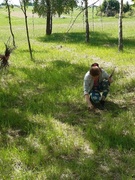 Волонтерский отряд