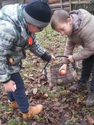 Помощь пожилым (12.11.2018-17.11.2018)