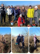 2 ноября работники ГУО "Юровичская средняя школа" оказали помощь КСУП "50 лет БССР" по уборке яблок в саду