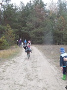 Акцыя "Чысты лес"