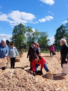 Коллектив Милошевичской средней школы принял активное участие по благоустройству населённого пункта, аг. Милошевичи. Общими усилиями, всего за несколько часов территория агрогородка преобразилась, благодаря активности и слаженности трудового коллектива