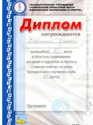 Спортивные достижения
