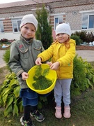 Восеньская кампазіцыя "Калючы вожык"