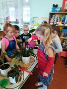 Праца ў кутку прыроды