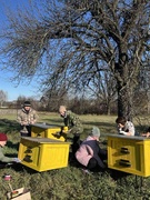 Благоустройство закрепленной территории