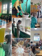 24.06.2025  Оздоровительный лагерь продолжает свою работу