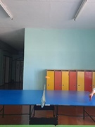 Спартыўныя спаборніцтвы па настольным тэнісе