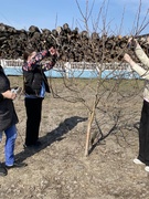 Акция «Цвети наш сад»