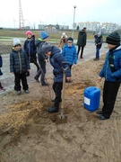 Акция "Подари дерево любимому городу"