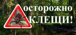 Осторожно клещи