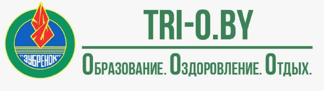 Единый информационно-методический ресурс воспитательно-оздоровительных учреждений образования