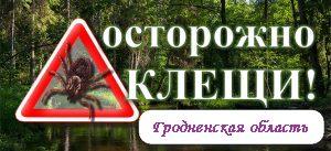 Осторожно клещи