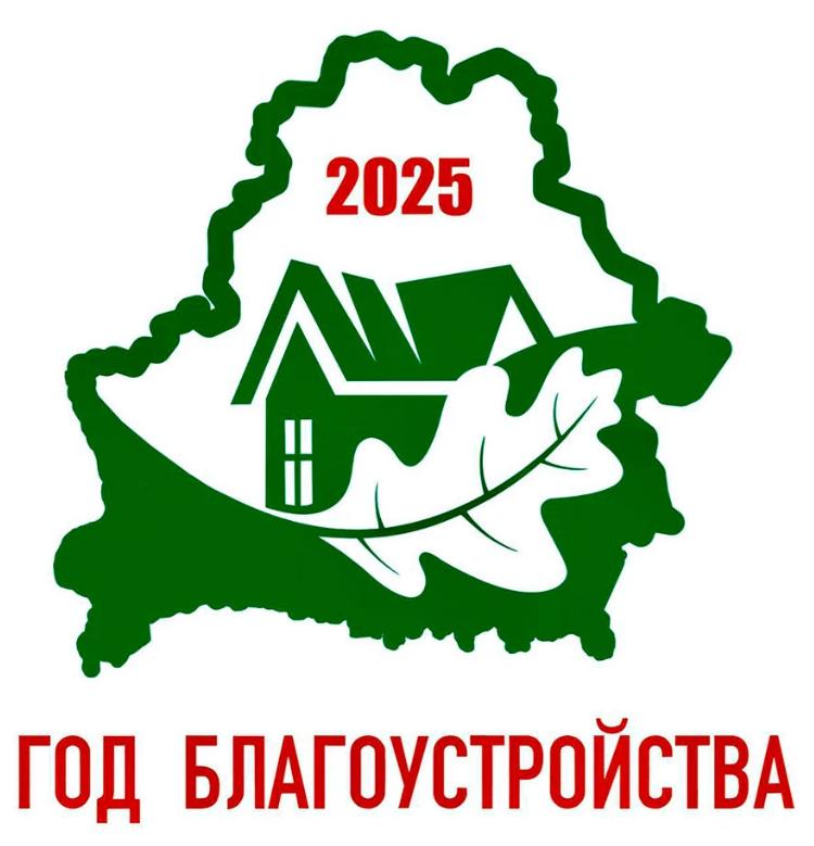 Год благоустройства