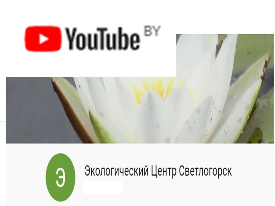 Экологический Центр Светлогорск