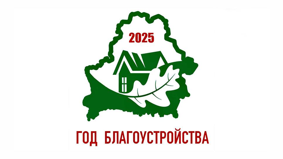 Год боагоустройства