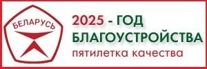 Год благоустройства | Гомельская область | Гомель