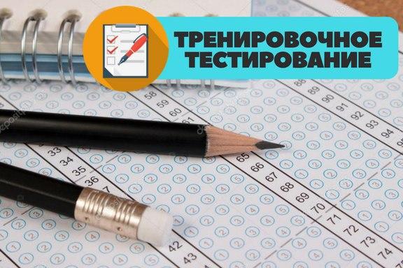 Тренировочное тестирование