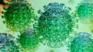 Государственное учреждение «Республиканский центр гигиены, эпидемиологии и общественного здоровья"