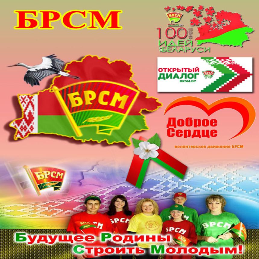 САЙТ БРСМ