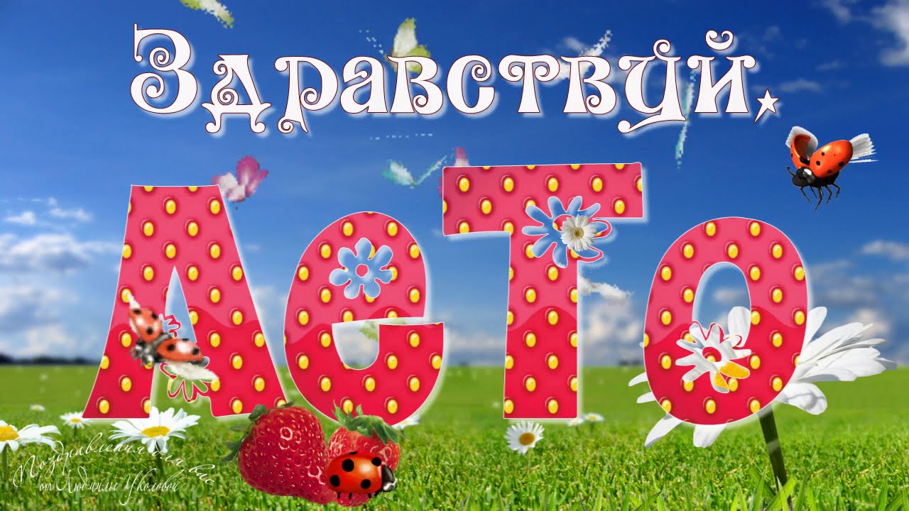 Летняя оздоровительная компания