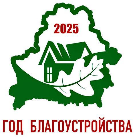 Год благоустройства