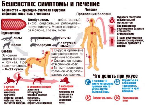 https://s3-minsk.cloud.mts.by/datastorage/rooshum/library/unnamed_kgQr51k.jpg