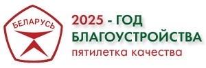 2025 - Год благоустройства страны