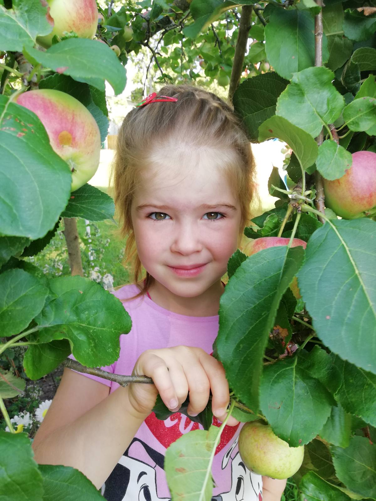 фруктовый сад адрес. фруктовый сад tvc 2009, 30". 95л. 2. сок фруктовый сад мультифрукт 1.