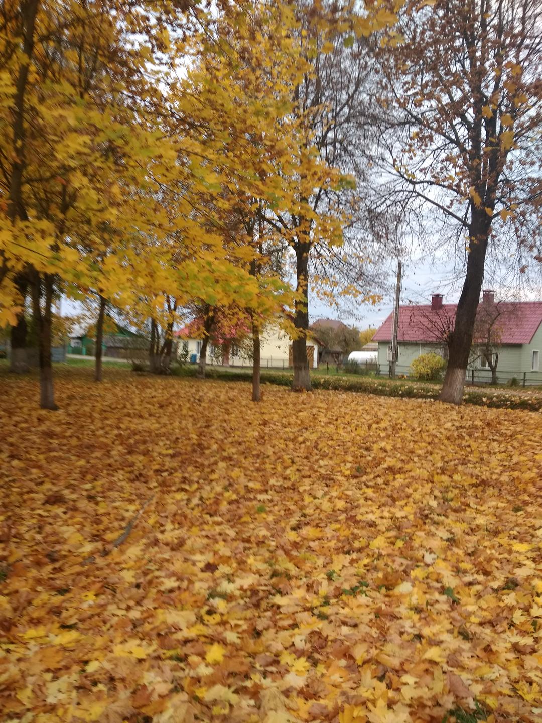 Прогулка в парк. Государственное учреждение образования 