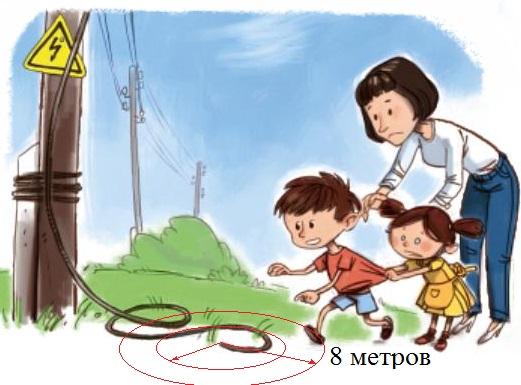 https://s3-minsk.cloud.mts.by/datastorage/sad2shumilino/library/7.jpg