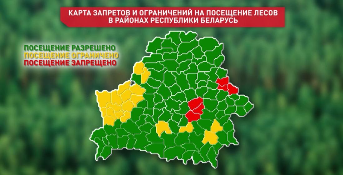 "Карта запретов и ограничений на посещение лесов"