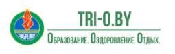 Единый информационно-методический ресурс воспитательно-оздоровительных учреждений образования