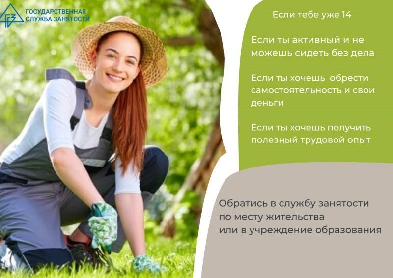 Летняя занятость