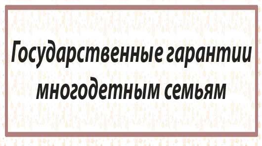 Государственные гарантии многодетным семьям